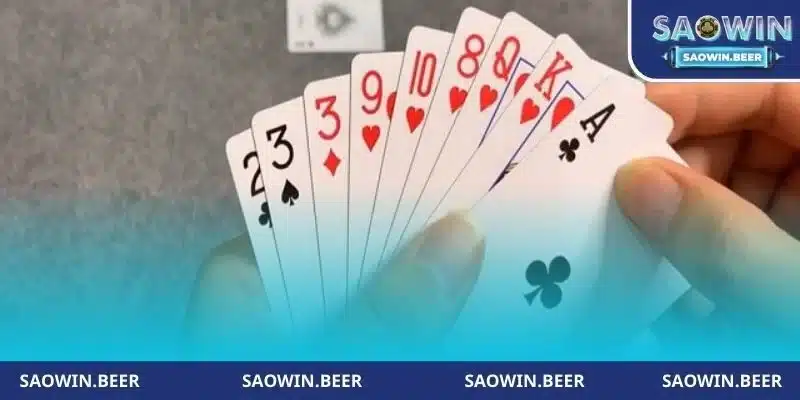 tim hieu ve tro choi tien len mien nam saowin quen thuoc Tìm hiểu về trò chơi Tiến lên miền Nam Saowin quen thuộc